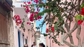 Naxos : Visite privée en E-Bike avec dégustation de vin à l'intérieur de Methexis