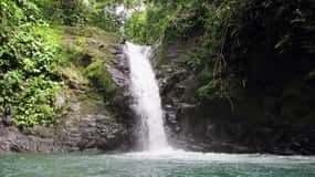 Uvita Waterfall & Surfing Discover Costa Rica - Private Tour