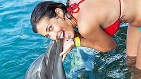 Dolphin Cove Lucea