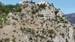 Flavor & Taste of Provence