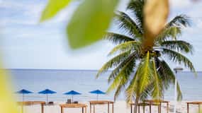 Progreso: Escapatta beach club All-Inclusive Option