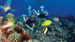 Two Stop Deluxe Molokini Snorkel