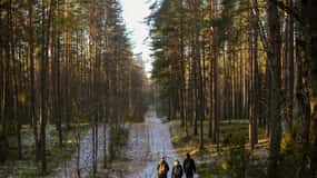 Visaginas: Wild Nature Hiking at Gražutės Regional Park