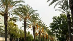 Los Angeles: Tour guiado privado de 3 horas com guia local