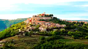 Truffle Hunting & Istrian Gems: Motovun & Opatija Day Trip
