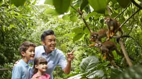 Cingapura: Entrada para o Mandai Park com opção de atrações