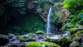 From Ponta Delgada: Hiking Moinho do Félix