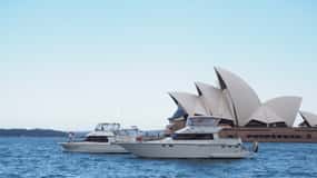 Sydney Harbour: 2-Hour Morning Yacht Cruise with Morning Tea