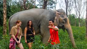Phuket : Visite en petit groupe du sanctuaire des éléphants à Khao Lak