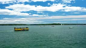 Portland: Land and Sea Tour Duck Tour with a Guide