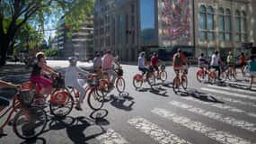 Buenos Aires Bike Tour: South or North Circuit