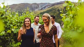 Queenstown: Wine Tasting Tour