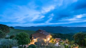 Tour enológico de inmersión total en Chianti