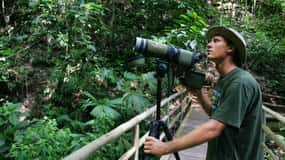 Bird Watching Tour at Rainforest Adventures Braulio Carrillo