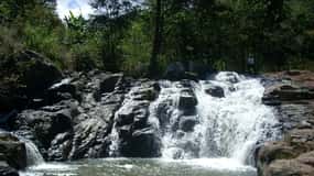 From Bogotá: Tour to the Waterfall of La Chorrera