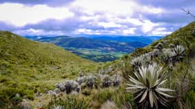 From Bogotá: Chingaza National Park Eco Tour