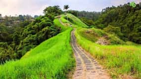 Wycieczka do Ubud: Ubud - kultura, tradycja i natura w najlepszym wydaniu