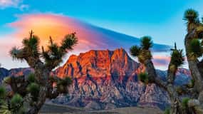 Las Vegas: Private Red Rock Canyon Guided Driving Adventure