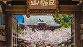 Kamakura: A Journey Through Medieval Japan (Walking Tour)
