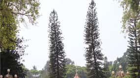 Bangalore: Full-Day Historical Guided Tour