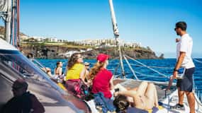 Funchal : Observation des dauphins et des baleines en catamaran de luxe