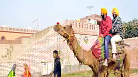 Amritsar: Evening Tour to Sadda Pind with Dinner