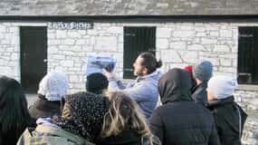 From Belfast: Giant's Causeway & Titanic Experience Belfast