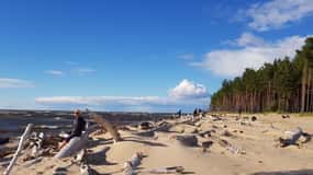 Depuis Riga : quatre écosystèmes naturels en une seule randonnée