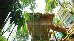 Kerala: 4-Day Tour with Tree House Stay & Houseboat Ride