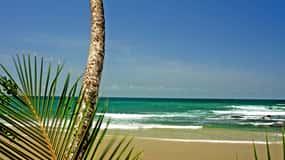 Port of Spain: Coastal Tour of Trinidad