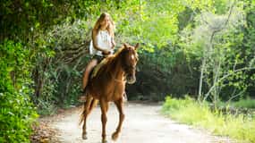 Horseback Riding in the Tropical Jungle