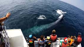 Bentota: 2-Day Private Tour Wild; Wonders And Galle Fort