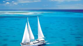 From Cairns: Sail to Michaelmas Cay with Water Activities