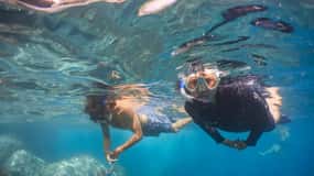 Funchal: Snorkeling Adventure in Eco-Park / Shore or by Boat