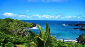 Maui: Tour delle cascate della Strada per Hana con pranzo