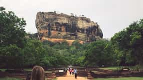 From Colombo: Sigiriya and Dambulla Day Trip and Safari
