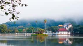 Pinnawala & Kandy Day Tour from Negombo