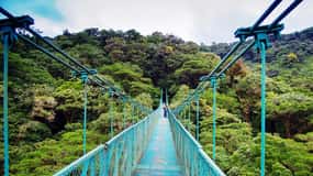 From San José: Monteverde Hanging Bridges Day Trip