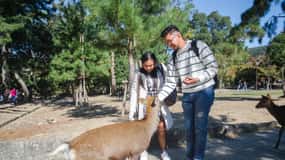 Kobe: excursión privada con guía a Kioto, Osaka, Nara y Kobe.