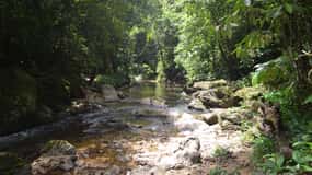 Trinidad: Rainforest Hike to Avocat Waterfall