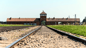 Krakau: Führung durch Auschwitz-Birkenau mit Transfer