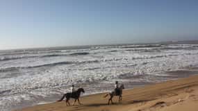 Essaouira: 3-stündiger Reitausflug