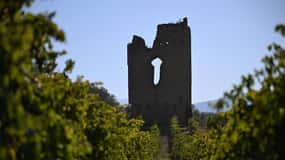 Torre Raone: the tradition of the vineyards