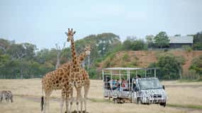 Werribee Open Range Zoo: Entry Ticket