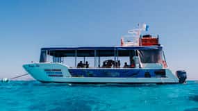 Tour en barco con fondo de cristal por la Bahía de Coral