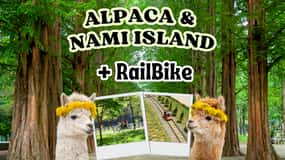Séoul : Alpaca World & Nami Island (+Gangchon Railbike)