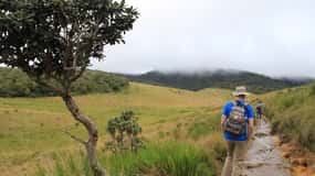 Exclusive Nuawara Eliya: Horton Plains and Tea Factory Tour