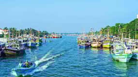 Negombo:Dutch Canal, Lagoon, Muthurajawela Private Boat Tour