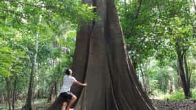 Selva Amazónica: Excursión de 3 ó 4 días en Ipanema River Guest House