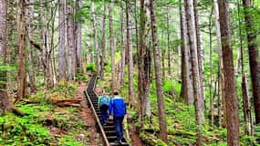 Guided Hike | TONGASS NATIONAL FOREST